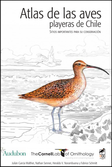 Atlas de las aves playeras de Chile. Sitios importantes para su conservación