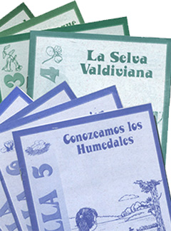 Set de Cartillas Serie Ecosistema (x8)